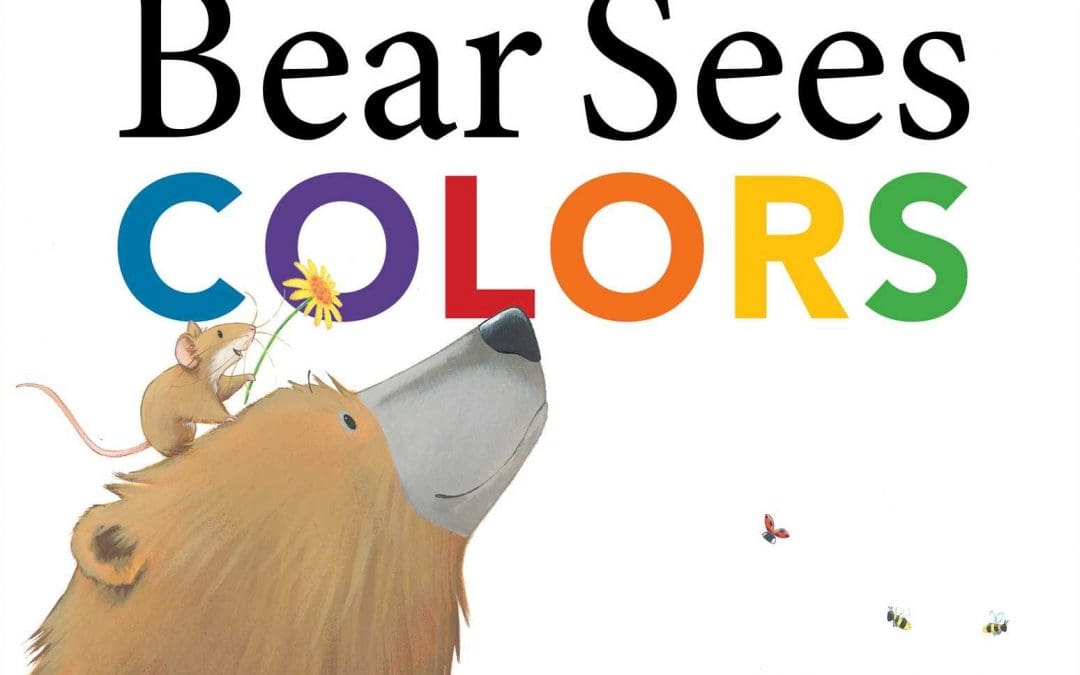 Bear Sees Colors