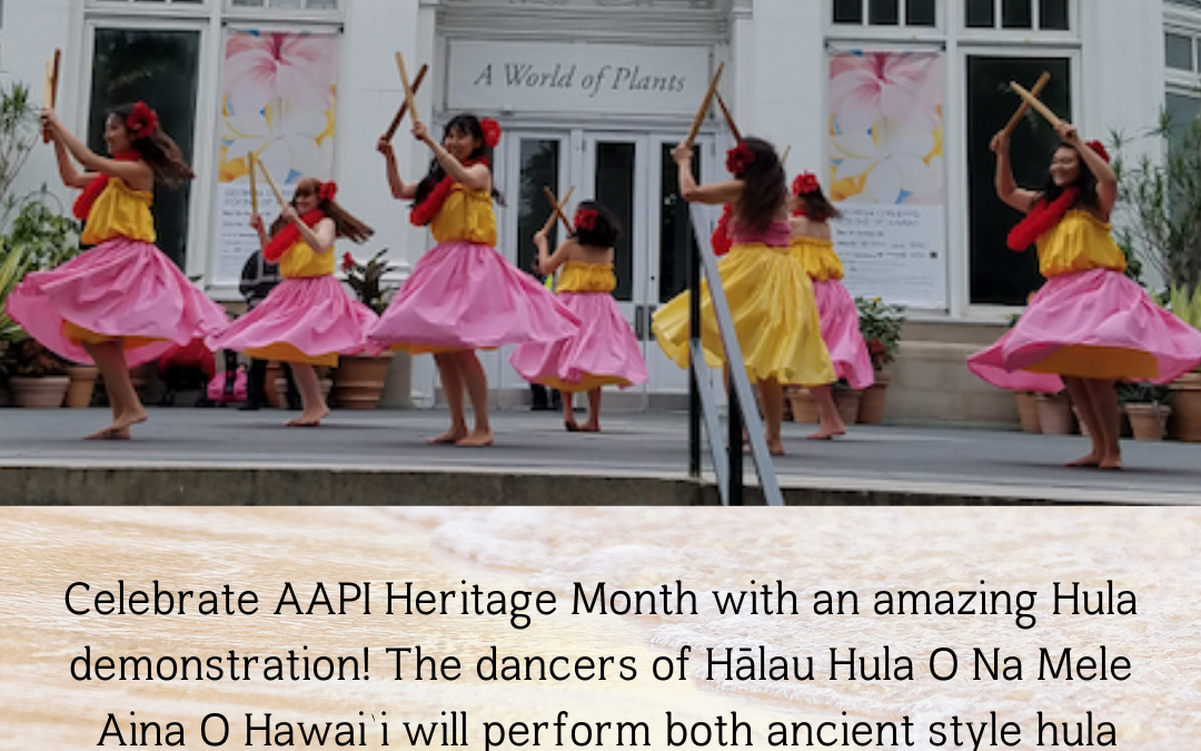 HAWAIIAN HULA DANCE DEMONSTRATION
